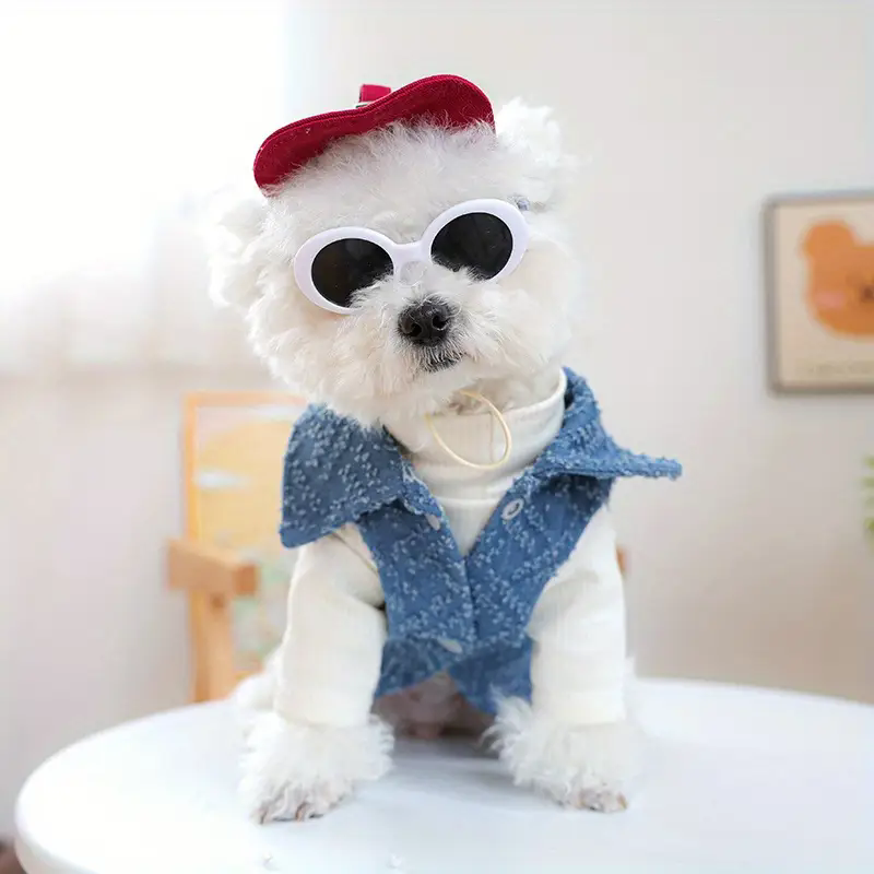 Dog fashion baseball cap with  - Street Fashion Shoot avis et prix