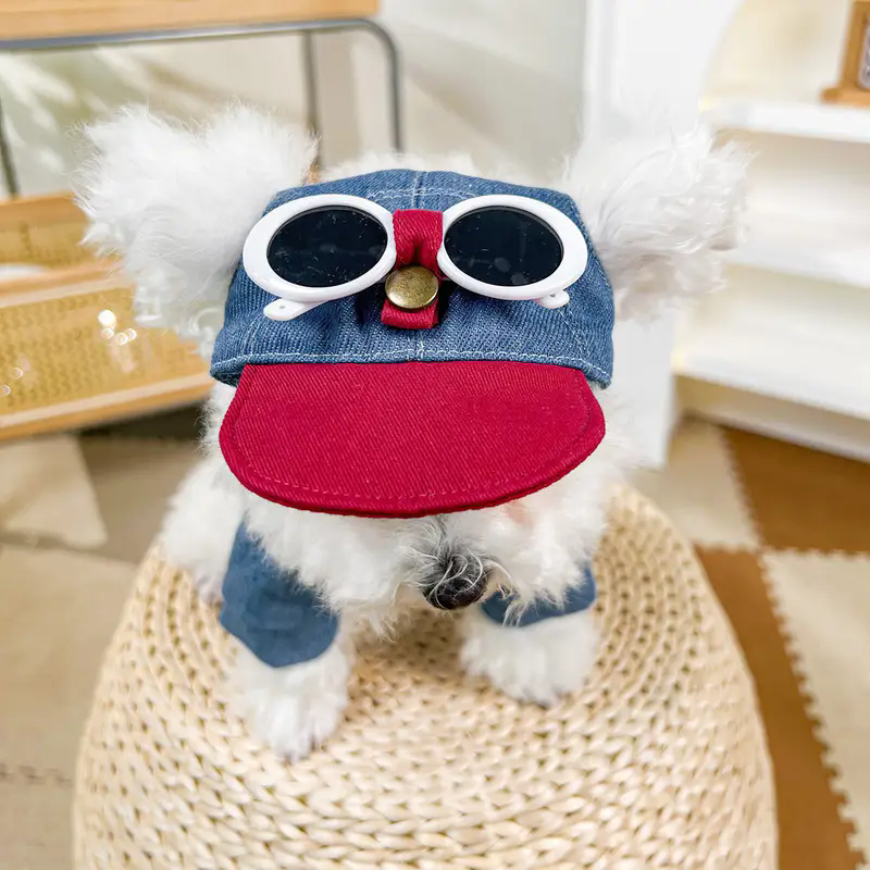 Dog fashion baseball cap with  - Street Fashion Shoot avis et prix
