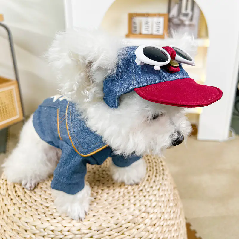 Dog fashion baseball cap with  - Street Fashion Shoot avis et prix